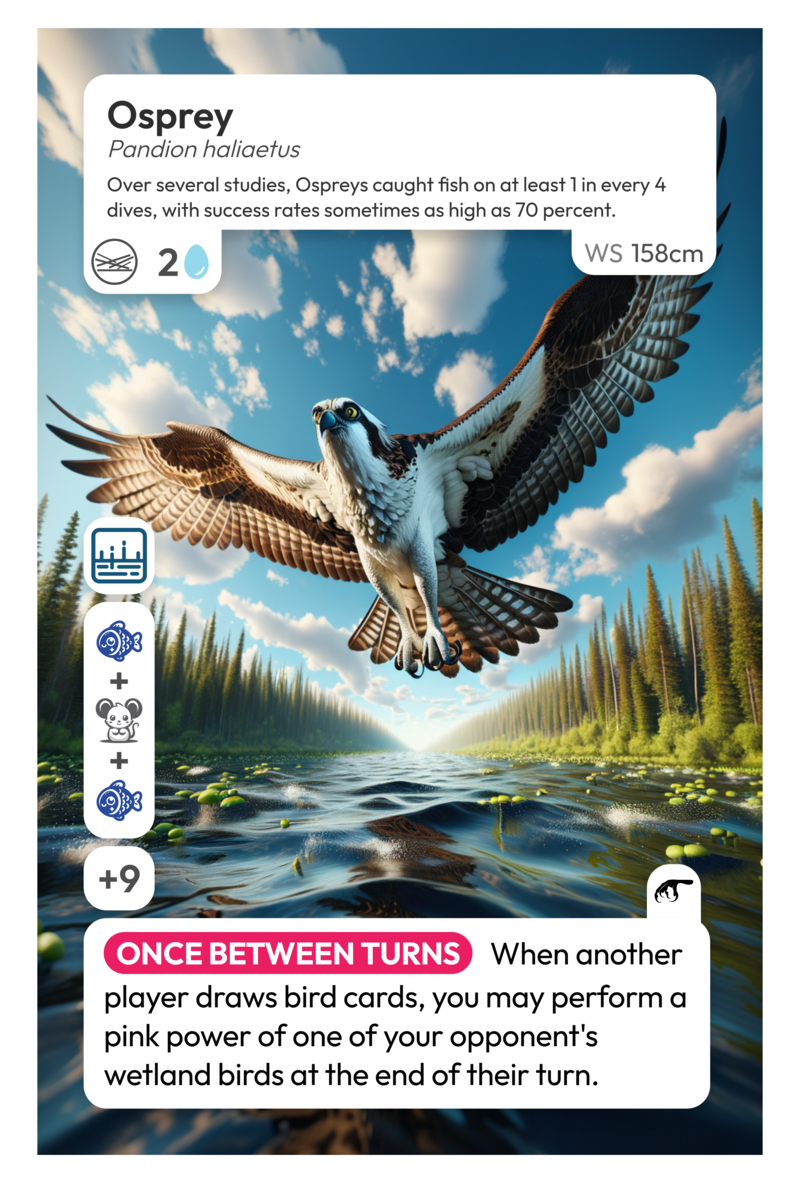 A card depicting an osprey from the auto-generated wingspan deck project