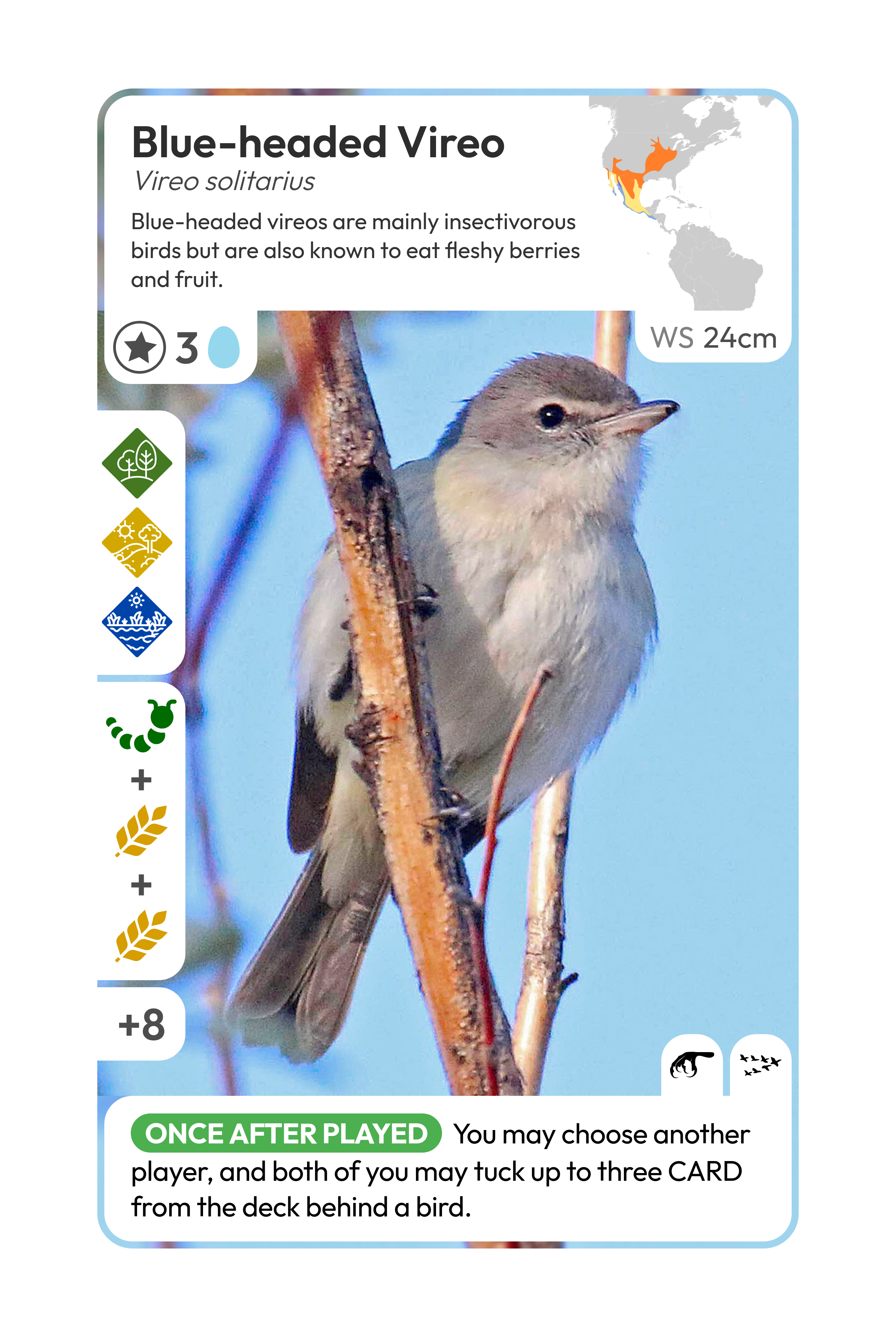 A card of a Blue-headed Vireo, generated by my code.